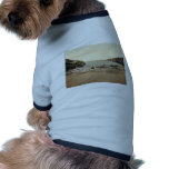 Port Isaac, Port Gavern, Cornwall, England classic pet clothing
