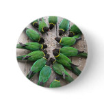 Port Lincoln Parrots Australia Button