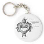 Portable Backbone keychains
