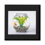 PORTABLE FISH TANK magnets