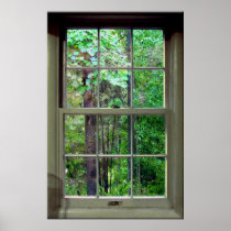 Portable Window