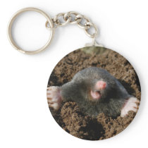 Porte-clé Taupe
