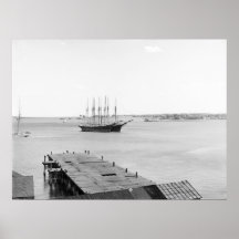 Portland Harbour, Spring and Cushing Points ca1900 Posters
