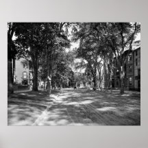 Portland, Maine State Street Circa 1900 Posters