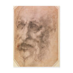 Portrait of a Bearded Man Postcard