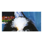 Portrait of a black Japanese chin photo cards