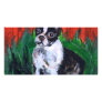 Portrait of a Boston Terrier Photo Card Template