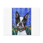 Portrait of a Boston Terrier Post Cards