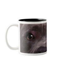 portrait of a bulldog mugs