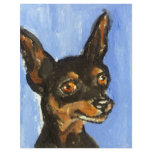 Portrait of a miniature pinscher flyers