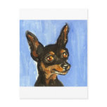Portrait of a miniature pinscher postcards