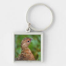 Portrait of a Ptarmigan Keychains