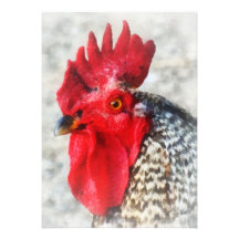 Portrait of a Rooster Custom Invite