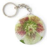 Portrait Of A Spring Hellebore Flower keychains