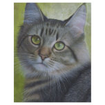 Portrait Of A Tabby flyers