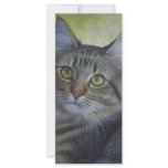 Portrait Of A Tabby rack cards
