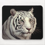Portrait of a White Bengal Tiger Mouse Pad