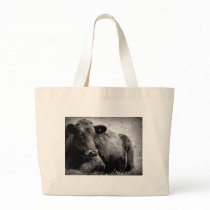 Portrait of an Angus Bags