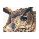 Portrait of an eagle owl postcard