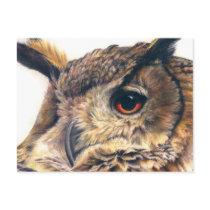 Portrait of an eagle owl postcard