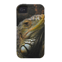 Portrait of an Iguana iPhone 4/4S Cases