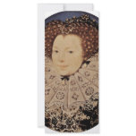 Portrait Of An Unknown Lady Oval By Nicholas Hilli rack cards