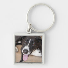 portrait of black dog key chain