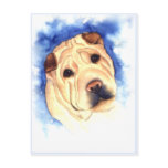 Portrait of Cookie Postcard