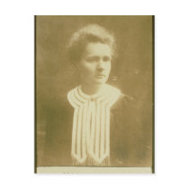 Portrait of Marie Curie Post Cards
