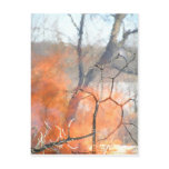 Portrait of the Fire Elementals at Play Postcards