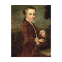 Portrait of Wolfgang Amadeus Mozart  aged Postcards