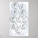 Portraits of Roman Emperors posters