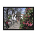 (Portugal) Funchal, Madeira Postcard