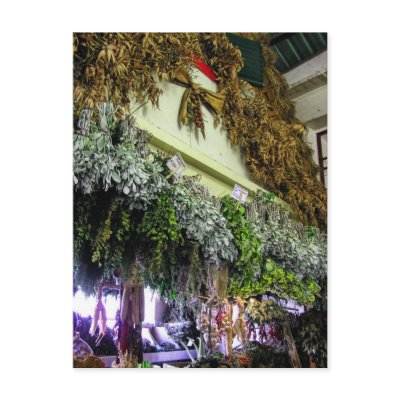 (Portugal) in Funchal Market Postcard by webgrrl