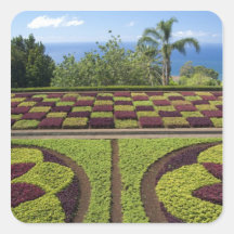Portugal, Madeira Island, Funchal. Botanical Sticker