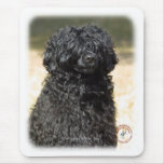 Portugese Water Dog 9R016D-151 mousepads