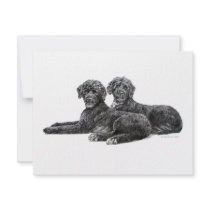 Portuguese Water Dogs Custom Invitation