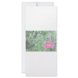 Portulaca dark pink flower green back faded rack cards
