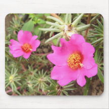 Portulaca Flowers Mousemat