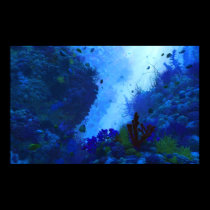 Poseidon's Playground posters