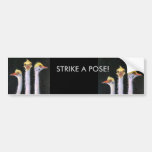 Posers Bumper Sticker