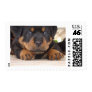 Posh Paws Stamp