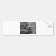 Posing Duck In B&W Bumper Sticker