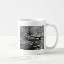 Posing Duck In B&W Mug