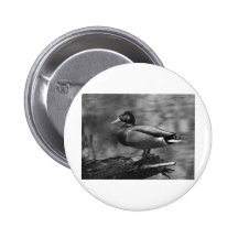 Posing Duck In B&W Pin