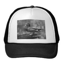 Posing Duck In B&W Trucker Hats