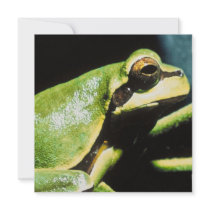 Posing Frog Invitations