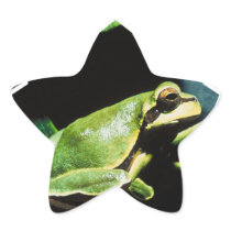 Posing Frog Stickers