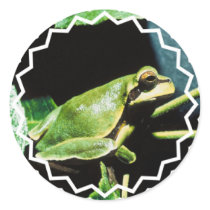 Posing Frog Stickers