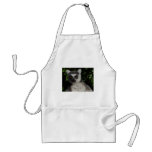 Posing Lemur aprons